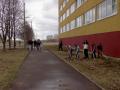 korist009.JPG