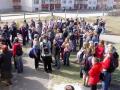 haire012.JPG