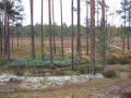 100_0400.JPG