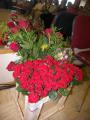 100_6965.jpg