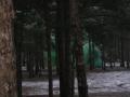 riigikaitse_028.jpg