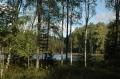 tammsaare0010.jpg