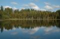 tammsaare0013.jpg