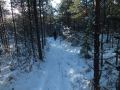 DSCF5729.jpg