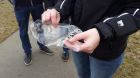 20160330_10242628029.jpg