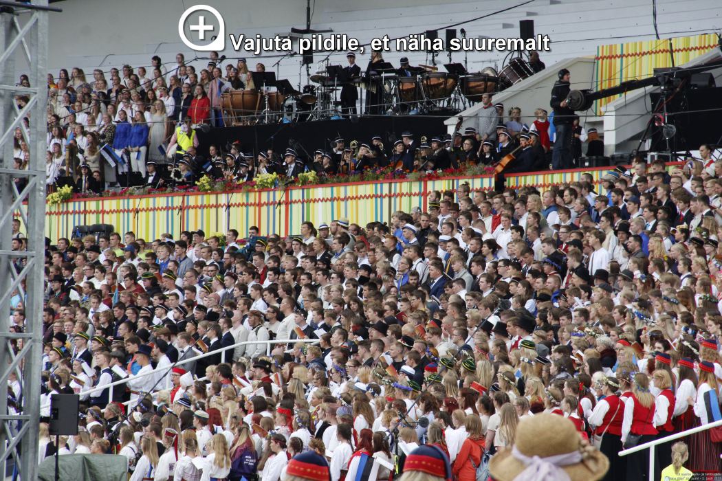 Klõpsa pildi vaatamiseks täissuuruses